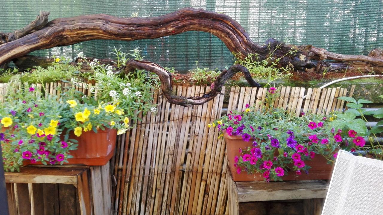La Pajassa Bed & Breakfast อัลบา ภายนอก รูปภาพ